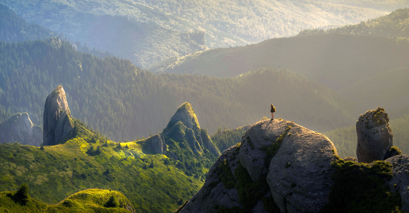 Parallax Image