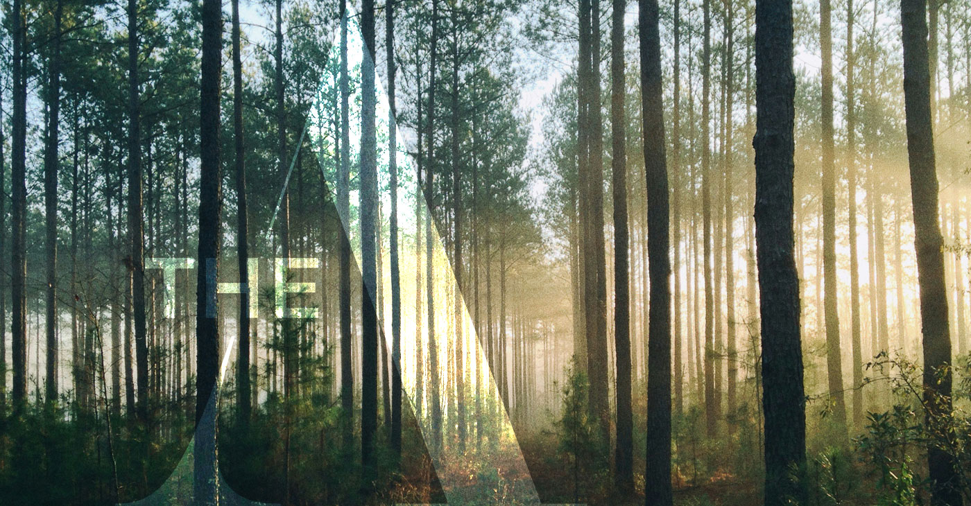 Parallax Image